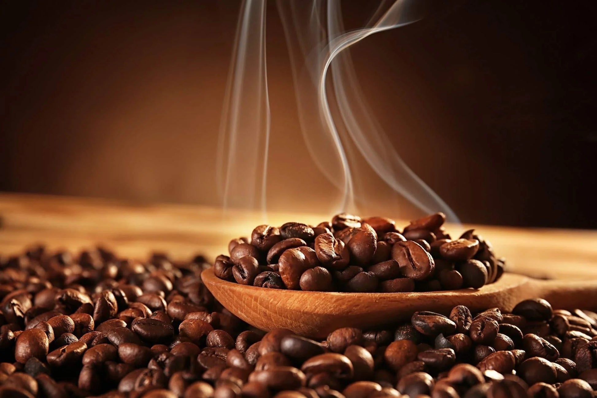 KV&C - Premium Quality | 100% Arabica Brazilian Coffee Beans Medium | Strong - Dark Roast | 1KG Bag