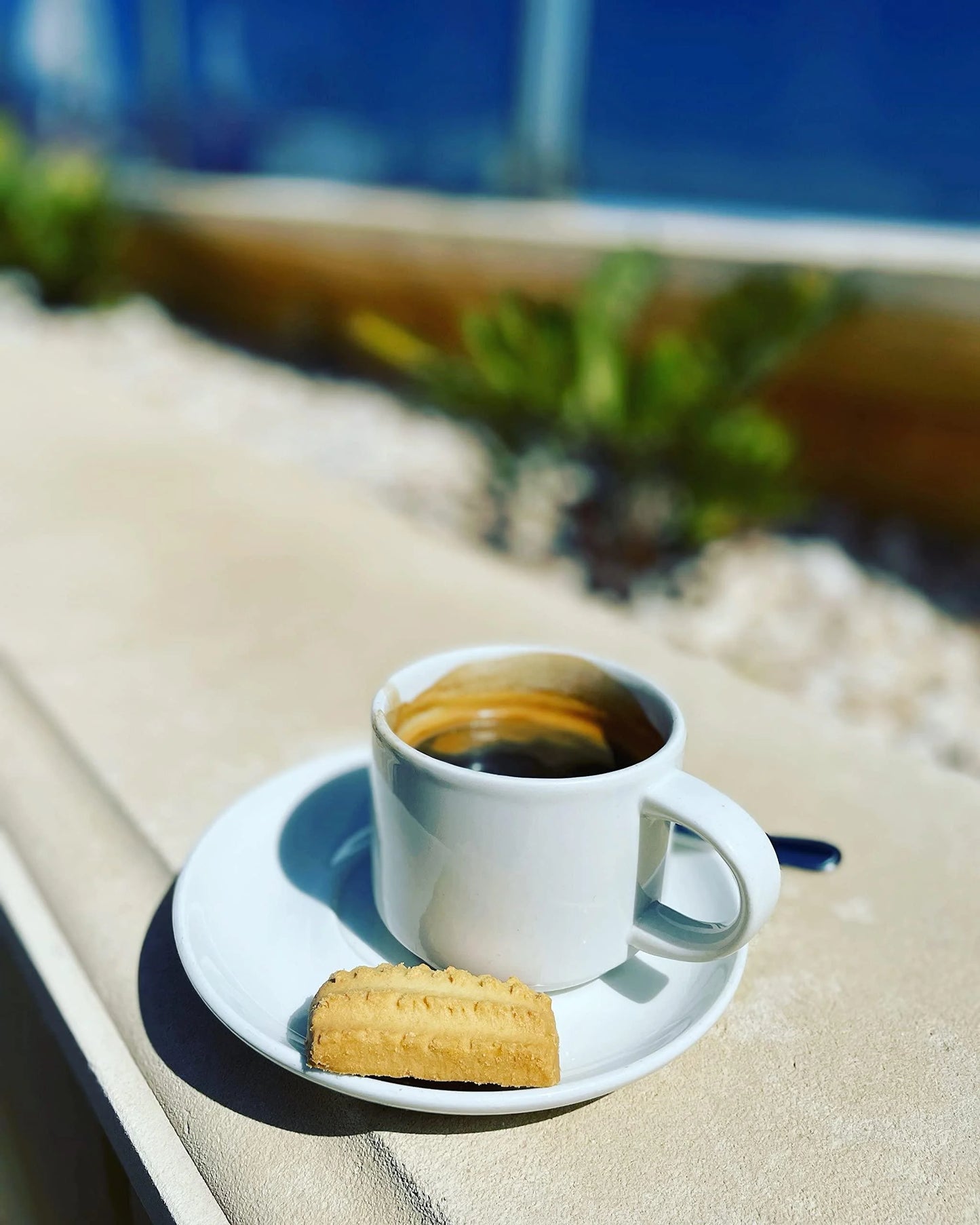 Premium Italian Espresso Coffee Beans - Medium Roast - Arabica & Robusta Blend - Rich Cocoa and Chocolate Notes - 1kg Bag