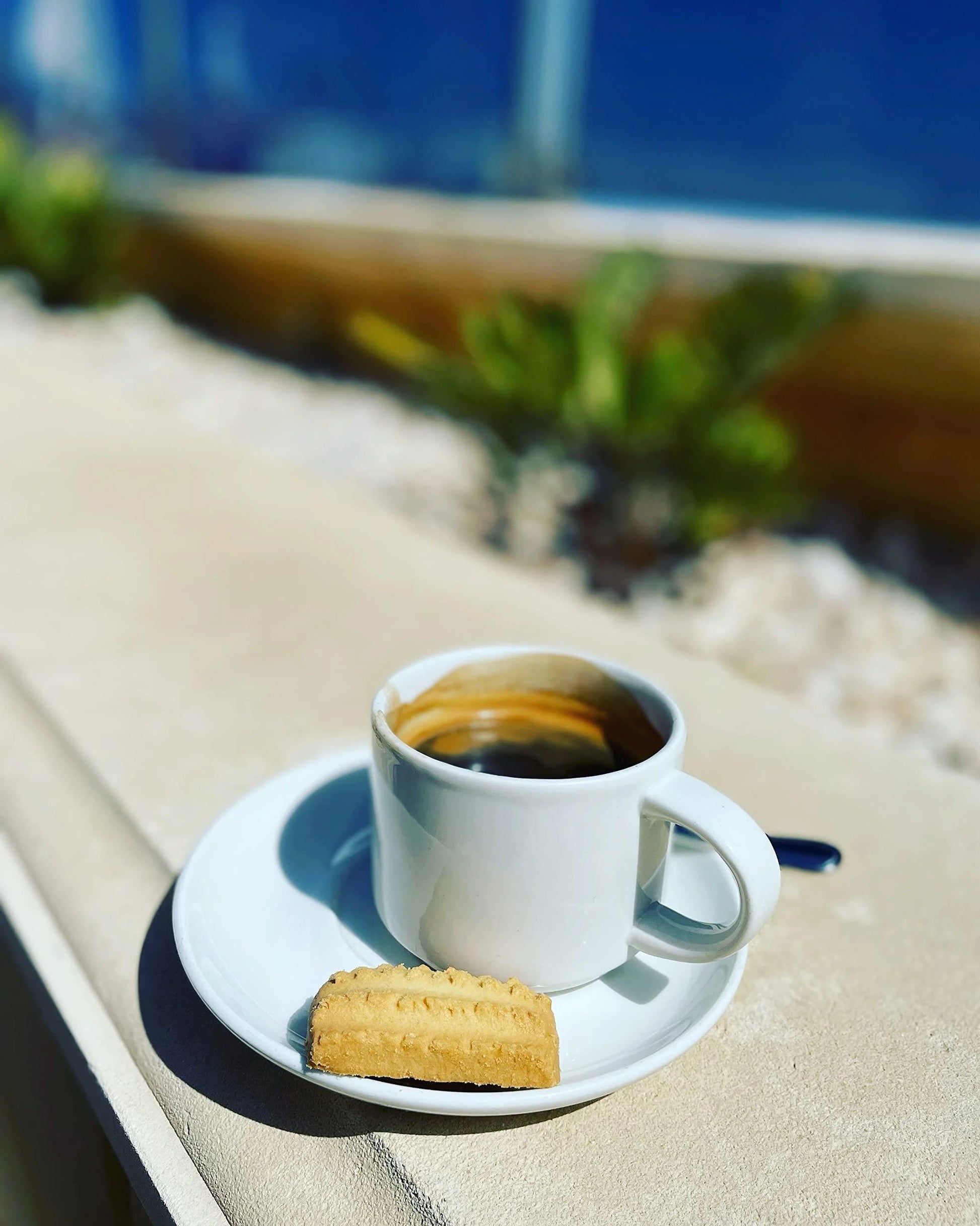 Premium Italian Espresso Coffee Beans - Medium Roast - Arabica & Robusta Blend - Rich Cocoa and Chocolate Notes - 1kg Bag